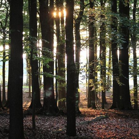 Little Paradise - Retreat- And Meditation Center Leilighet Hoisdorf Eksteriør bilde