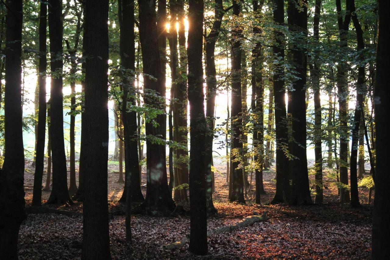 Little Paradise - Retreat- And Meditation Center Leilighet Hoisdorf Eksteriør bilde